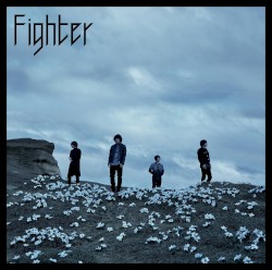 Fighter