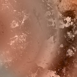 microbiote intestinal