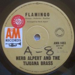 Flamingo / So What's New