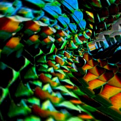 Dragonspine
