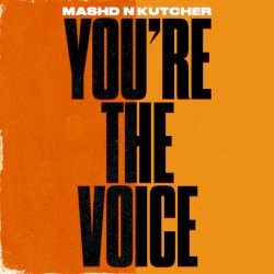 You're The Voice