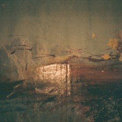 Touch of Rotten Sunrise
