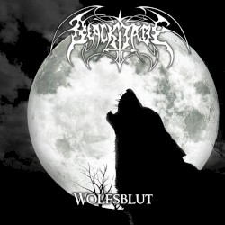 Wolfsblut