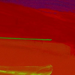 Free Zone Appleby 2003