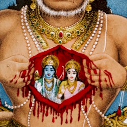 I’m Going Back to India