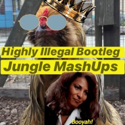 Highly Illegal Bootleg Jungle Mashups, Vol. 13