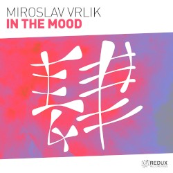 In the Mood (extended mix)