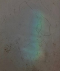 049: A Cosmic Idiot Jest