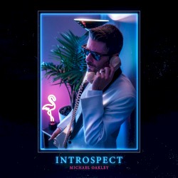 Introspect (The Stems)
