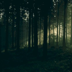 The Loss of What We Keep (Unused Film Score 2019)