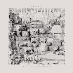 Acid Dub Studies II