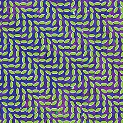 Merriweather Post Pavilion
