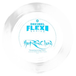 Dreaming in Dog Years (live at Metal & Beer Fest)