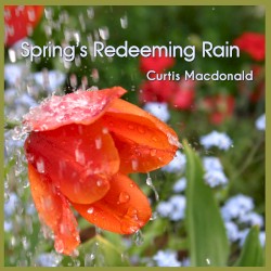 Spring's Redeeming Rain