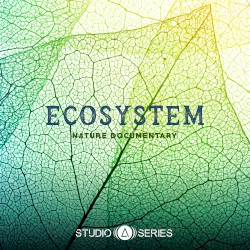 Ecosystem