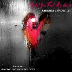 Make You Feel My Love