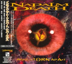 Inside the Torn Apart