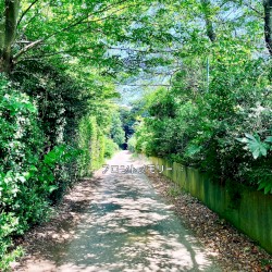 フロントメモリー