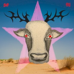 Your Mother’s Name