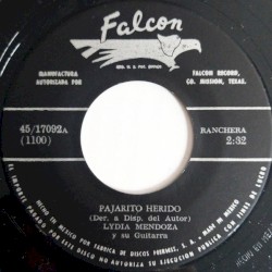 Pajarito herido / Todo es falso