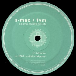 Seismic-Stealth-Smurfz