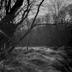 Associative Mechanisms