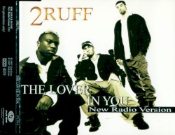 The Lover In You (New Radio Version)