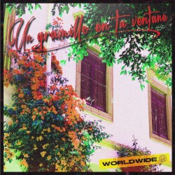 Un gramillo en tu ventana