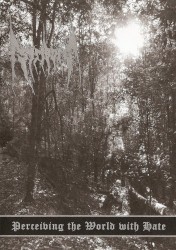 Perceiving the World With Hate