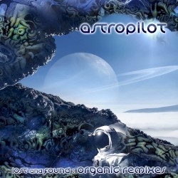 Lost and Found: The Organic Remixes