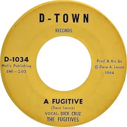 A Fugitive