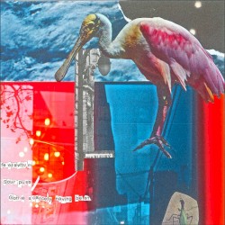 Sourpuss / Gone, Scarcely Having Been