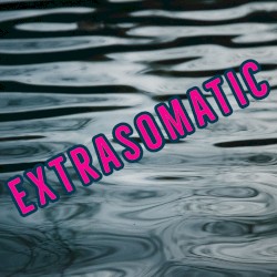 Extrasomatic