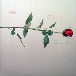 In a Flash Everything Comes Together as One There Is No Need for a Subject