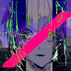 氏名、住所、年齢、職業など全て不詳の女