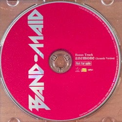 Puzzle (acoustic version)