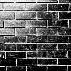CRAWLING UP THE WALLS RELOADED.