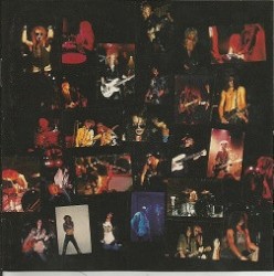 Appetite for Destruction