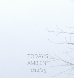 todays ambient 1/12/25