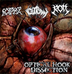 Optical Hook Dissection