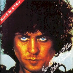 Zinc Alloy and the Hidden Riders of Tomorrow