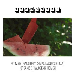 Organise (Halogenix remix)
