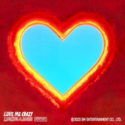 Love Me Crazy