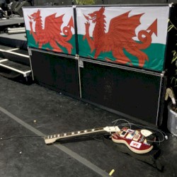 The Masses Against the Classes