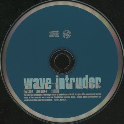 Wave Intruder