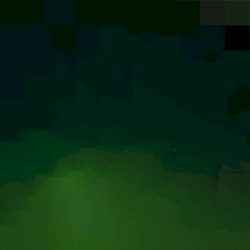 Rose Chafer / Dust Source