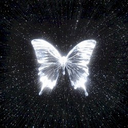 Каждый день