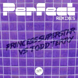 Perfect 2020 (Todd Terry remix)