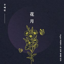Night : 여름에 노란 꽃이 밤에만 핀다