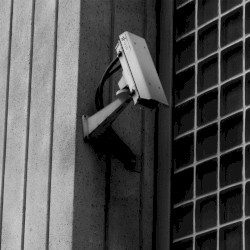 Are We Doomed to Bow to the Stupid and Cruel?